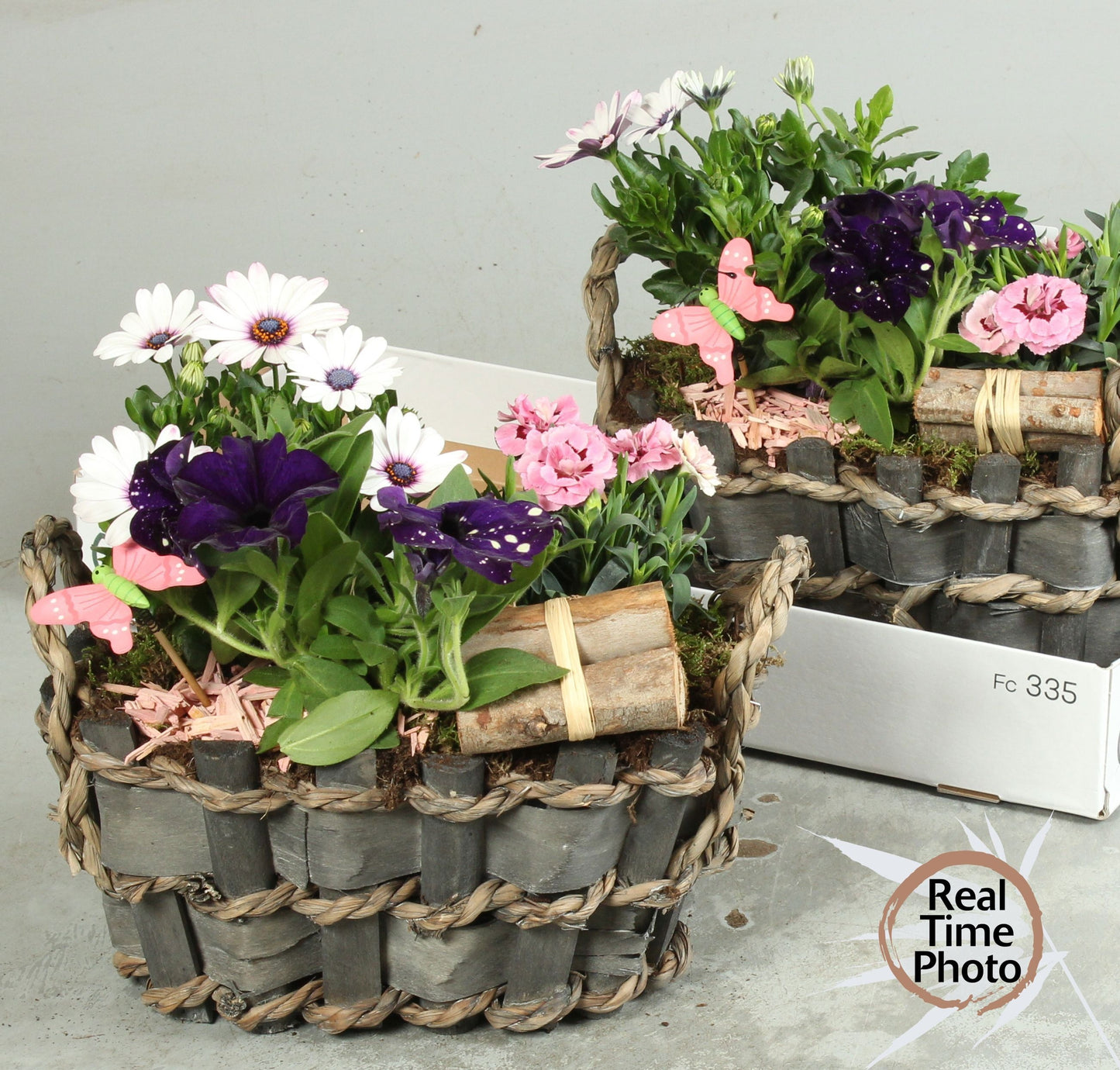 Outdoor arrangement 25cm 29cm Pot