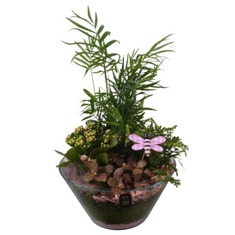PTIG2678 Arrangementen kamerplanten 44cm 25cm Pot