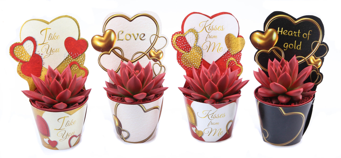 Potcover love mix rood 10cm 8.5cm Pot