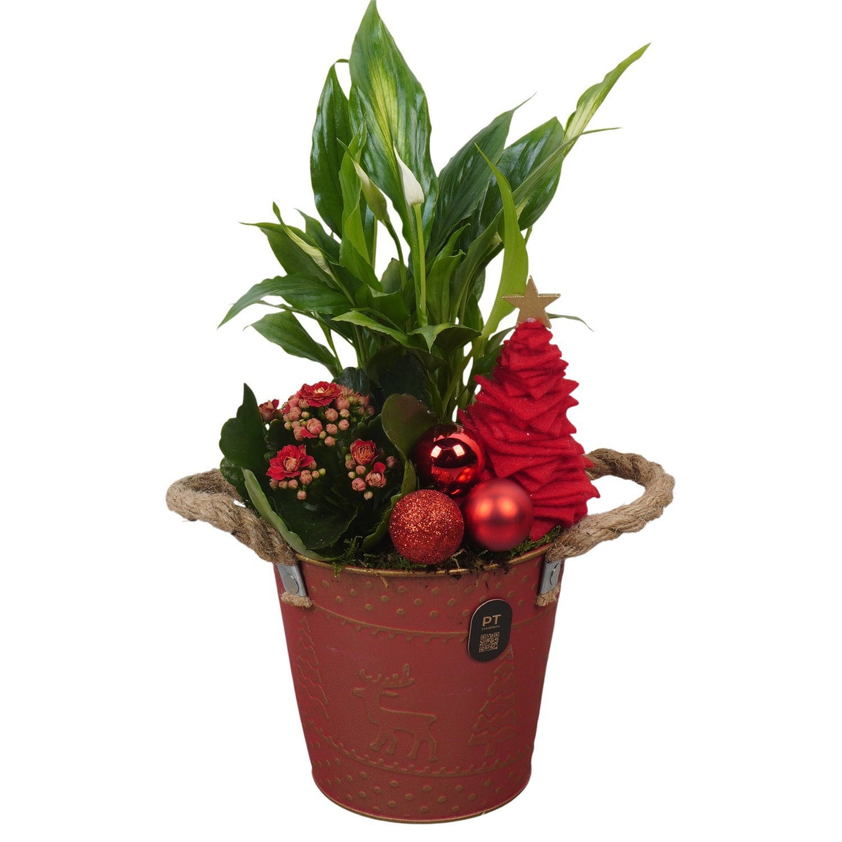 Christmas arrangement 36cm 14cm Pot