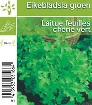 Eikebladsla groen per tray (8x6) 5cm 1cm Pot