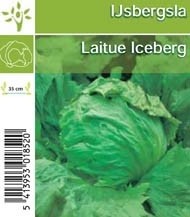 Ijsbergsla per tray (8x6) 5cm 1cm Pot