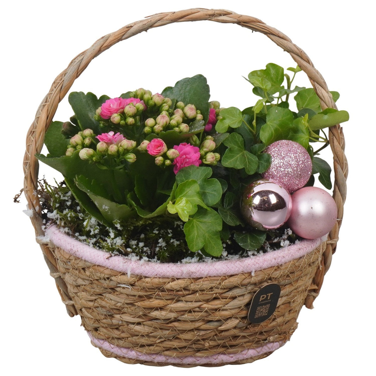 Christmas arrangement 21cm 17cm Pot