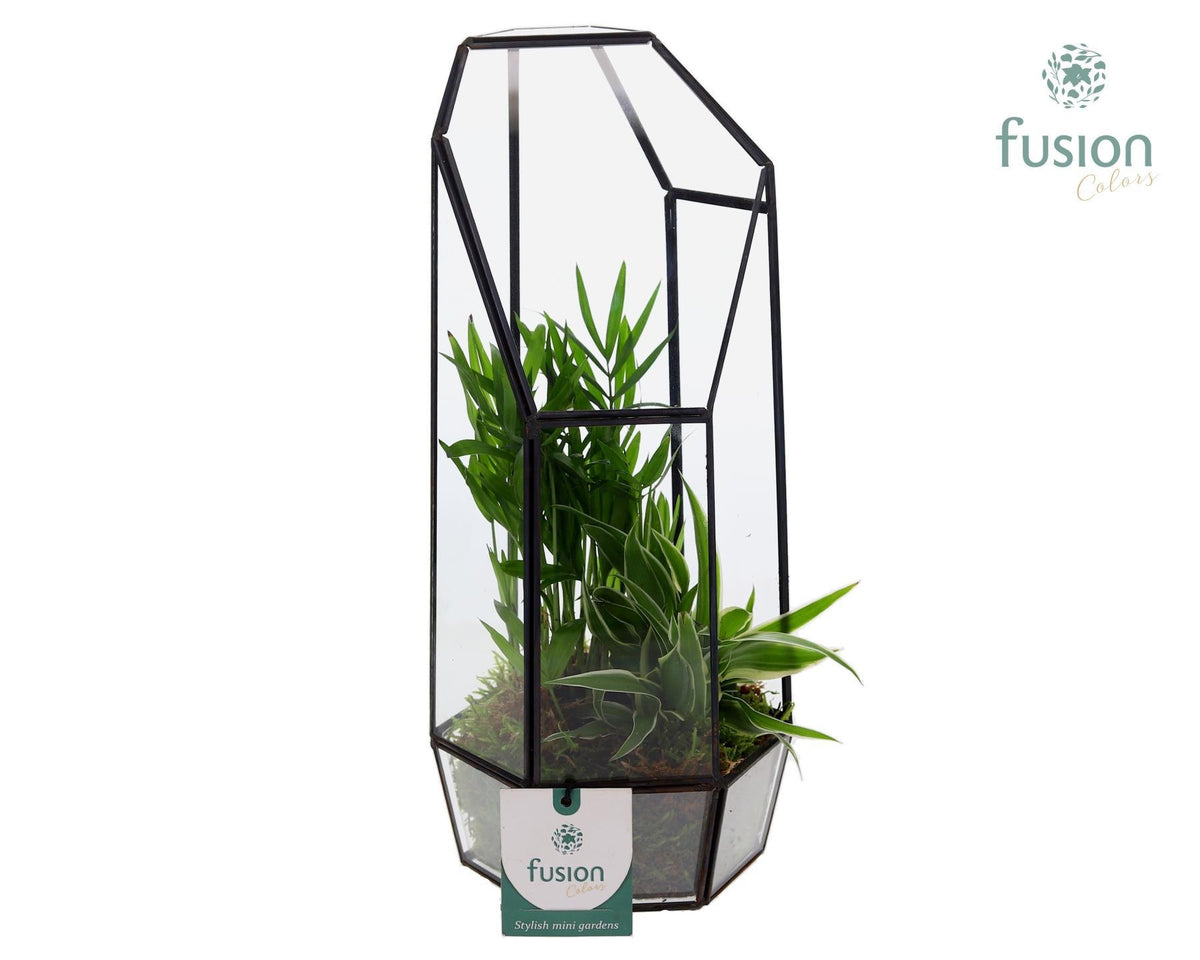Metalen Lantaarn met Arrangement 29cm 12cm Pot