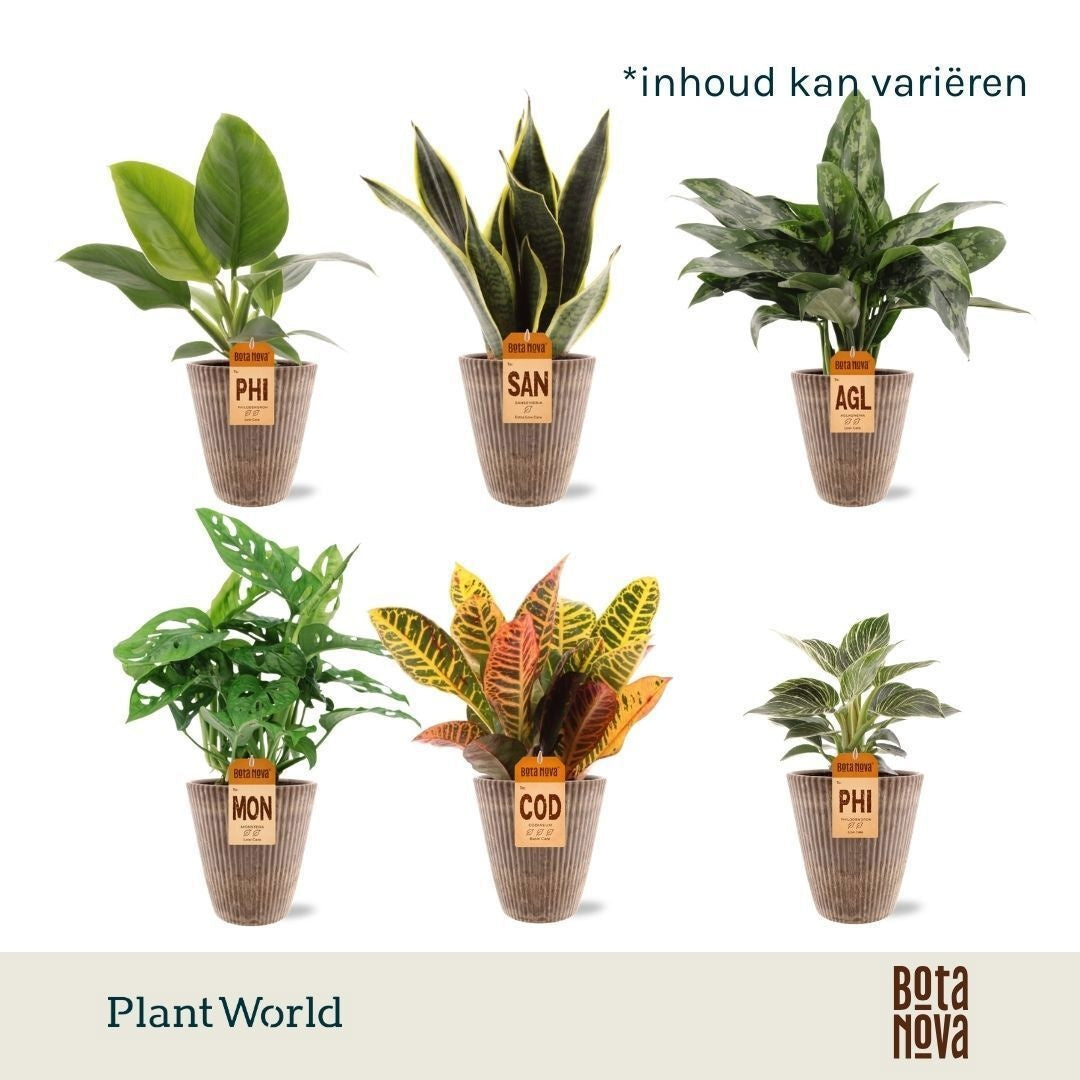 Nature mix Mix in Polystone pot 40cm 12cm Pot