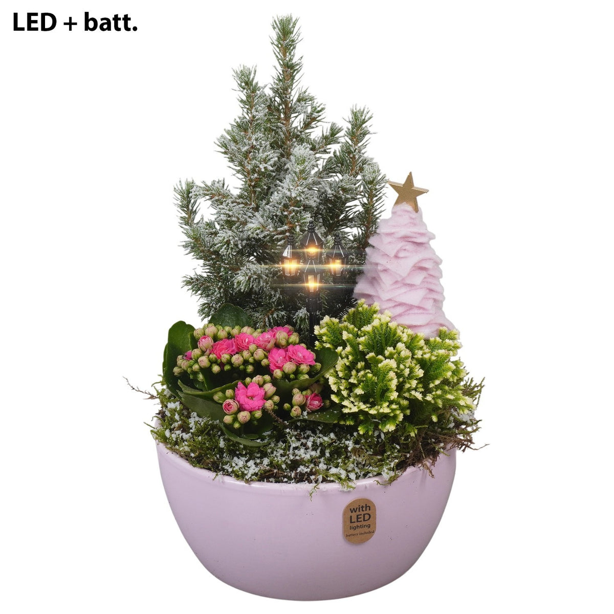 Christmas arrangement 33cm 18cm Pot