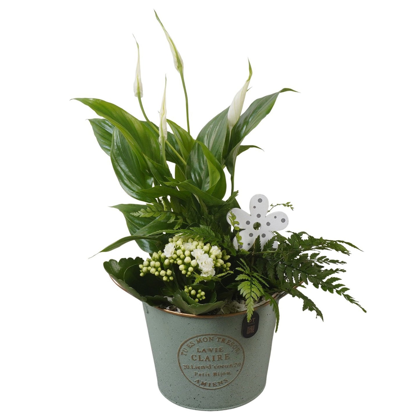 Indoor arrangement 37cm 15cm Pot