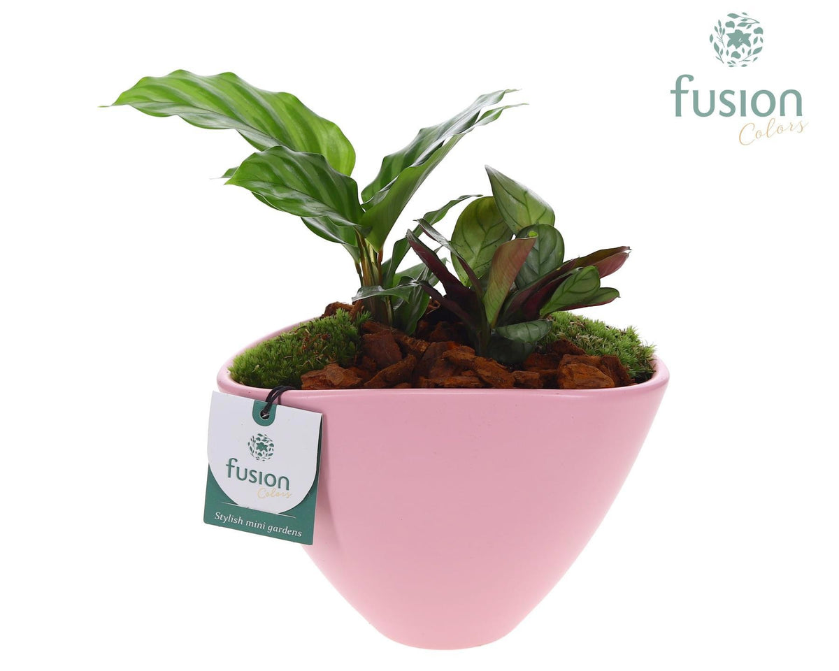 Pot keramiek ovaal Medium met Arrangement 25cm 18cm Pot