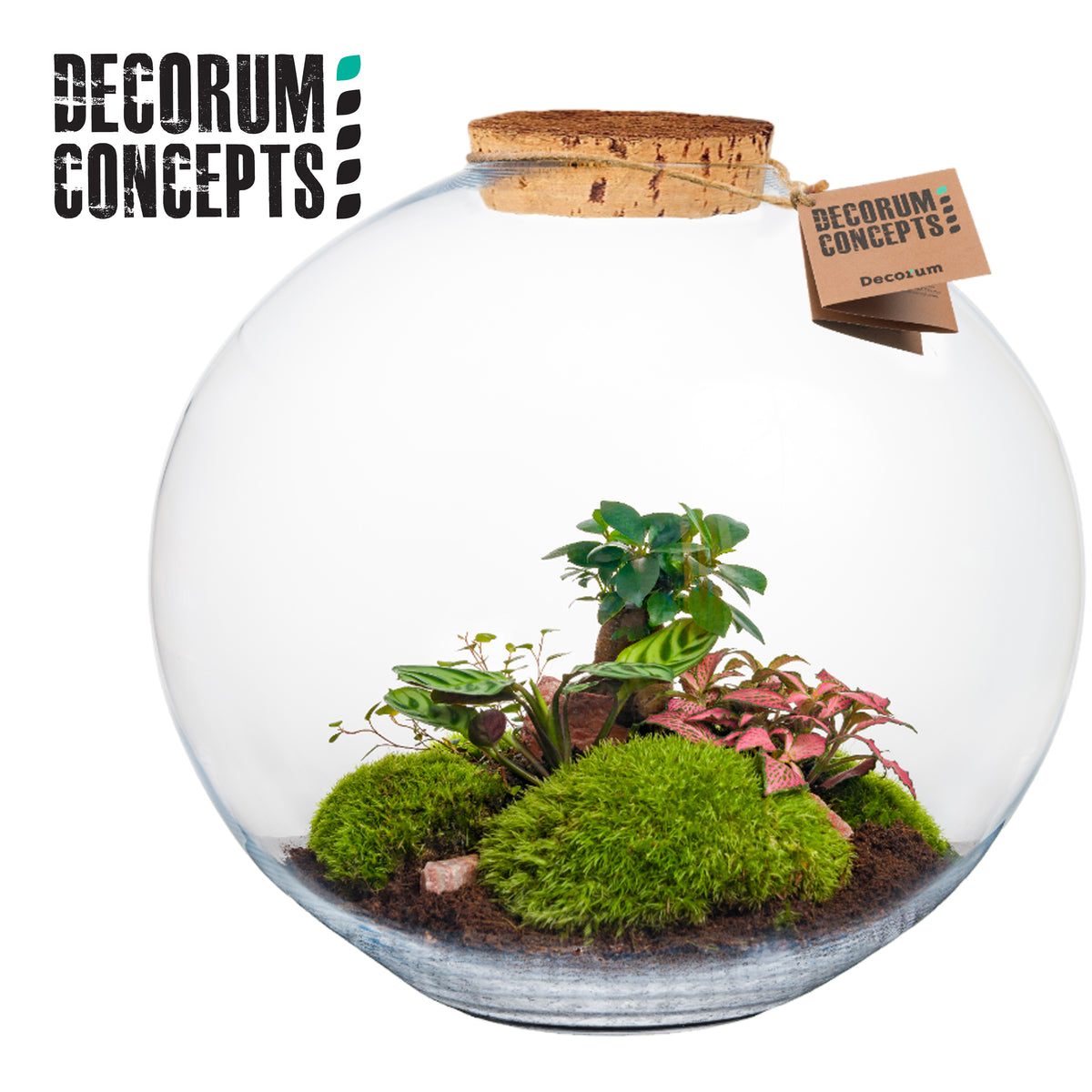 arr. Terrarium Moon 40cm Pot