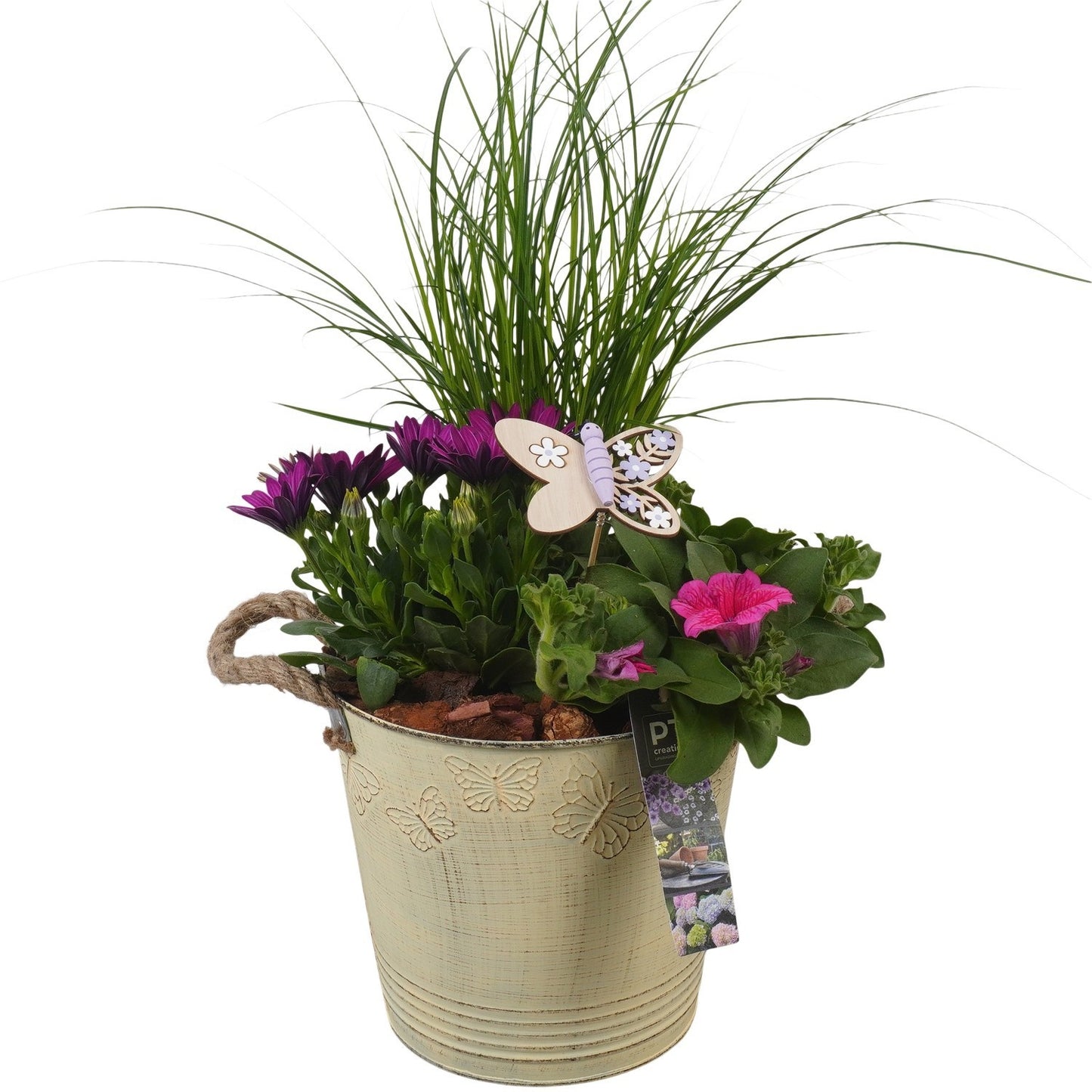 Outdoor arrangement 48cm 19cm Pot