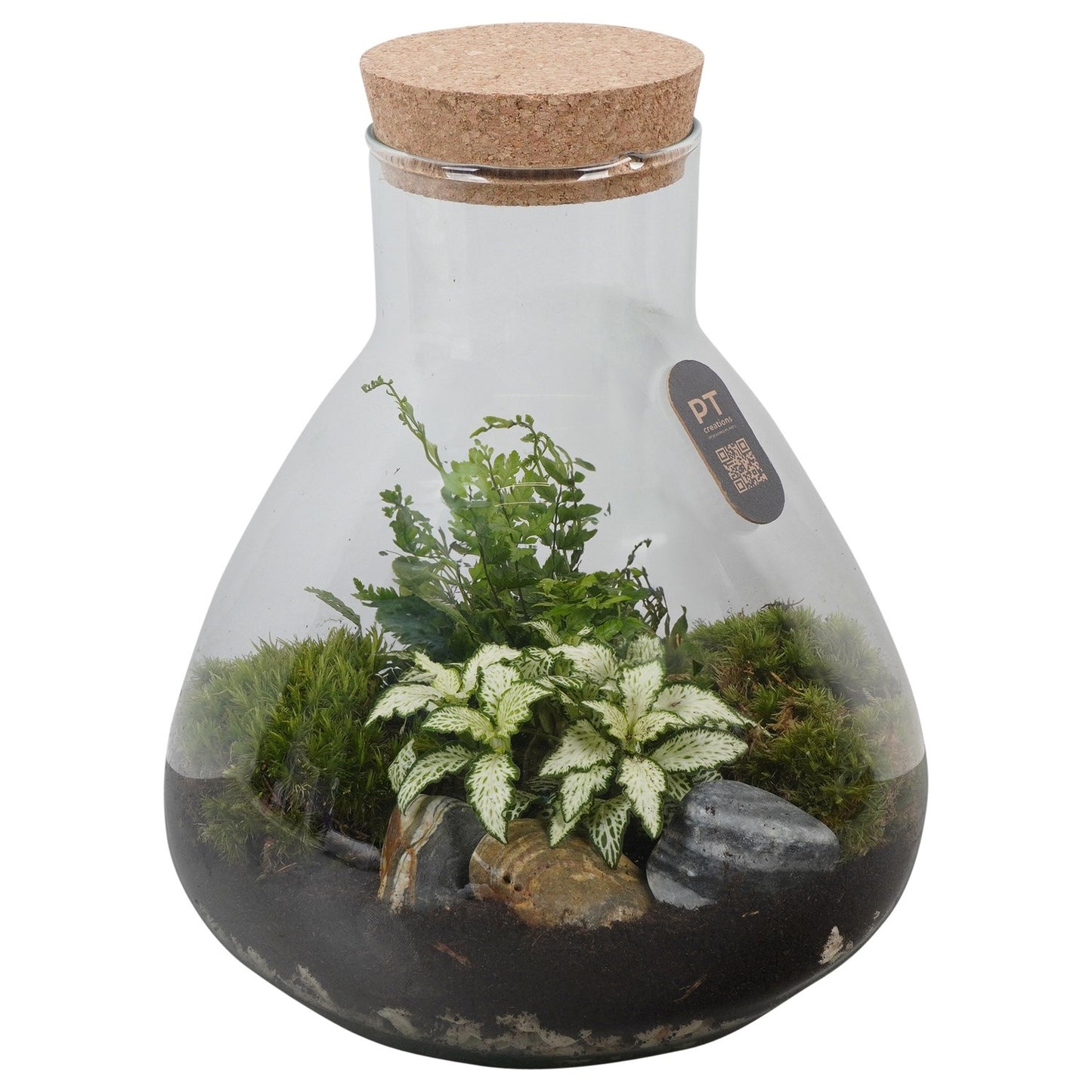 Indoor green arrangement 30cm 23cm Pot