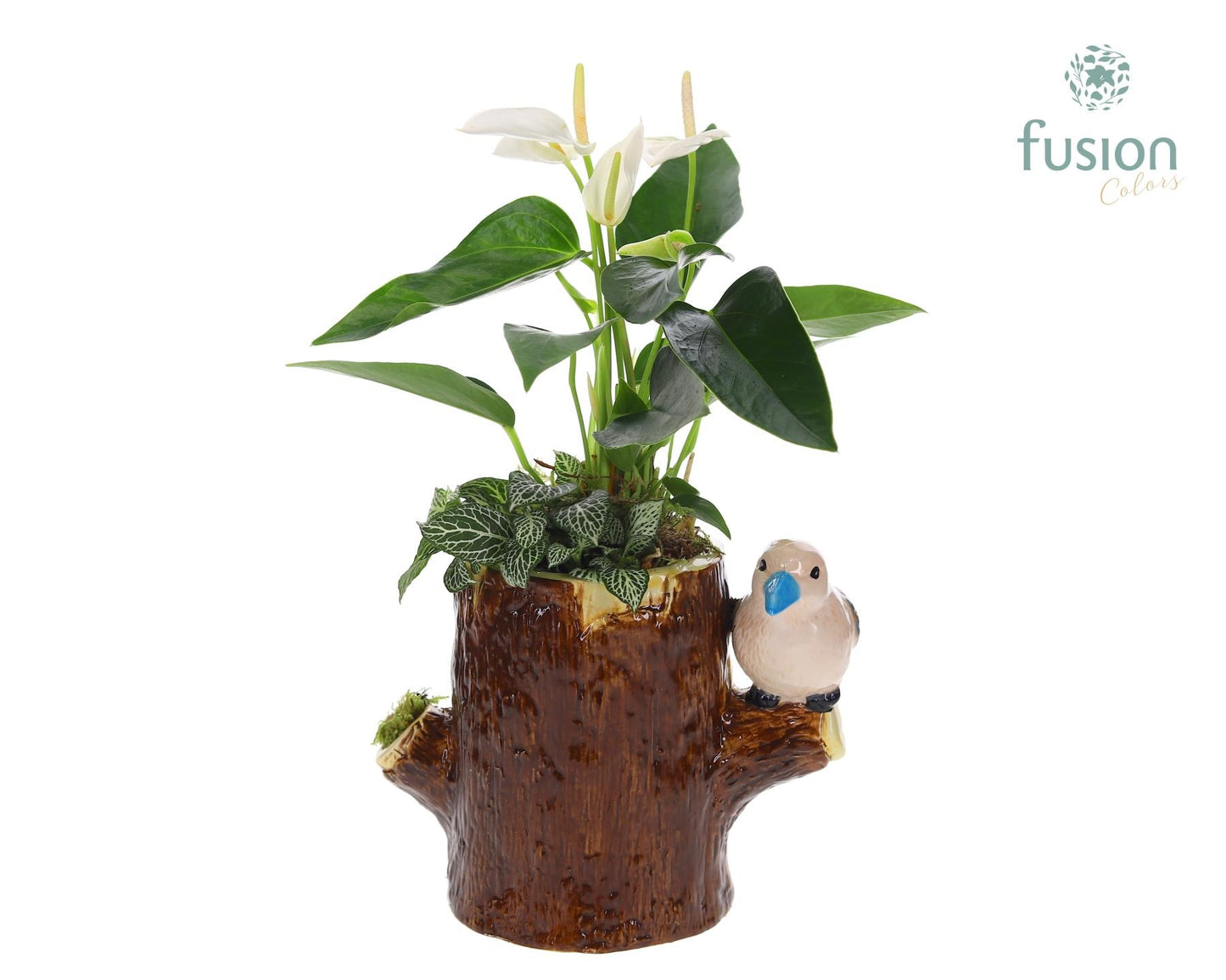 Keramiek boomstam planter met Aragement 35cm 19cm Pot