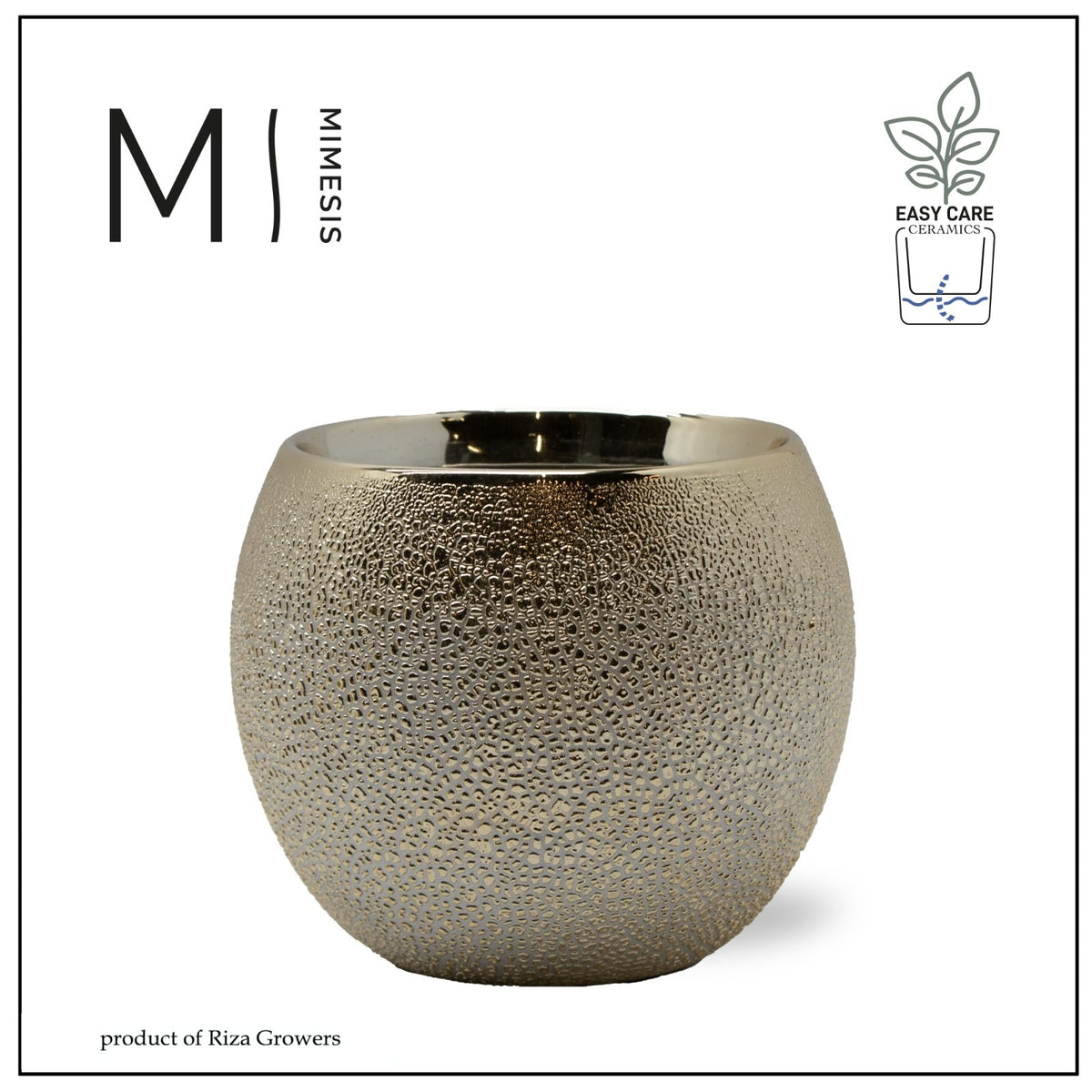 Riza Karma Plants Ceramicpottery Pack of 3