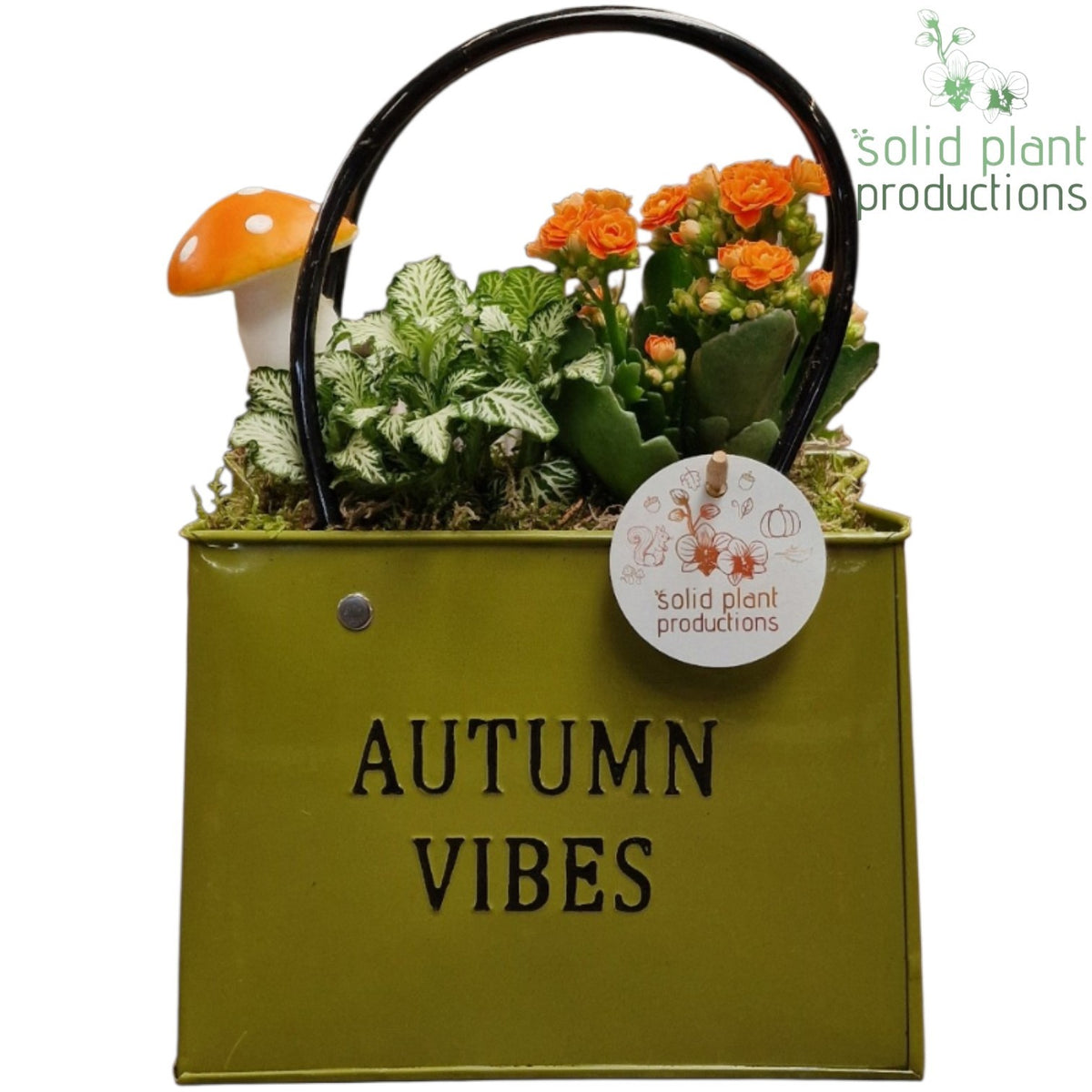 ZKE001 Orange Autumn Bag Large 28cm 18cm Pot