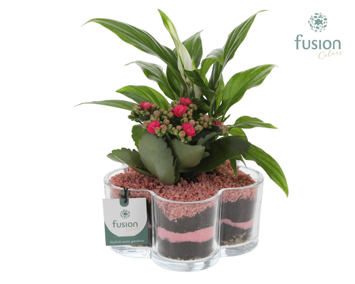 Glas Bloemschaalmet arrangement 2pp 25cm 18cm Pot