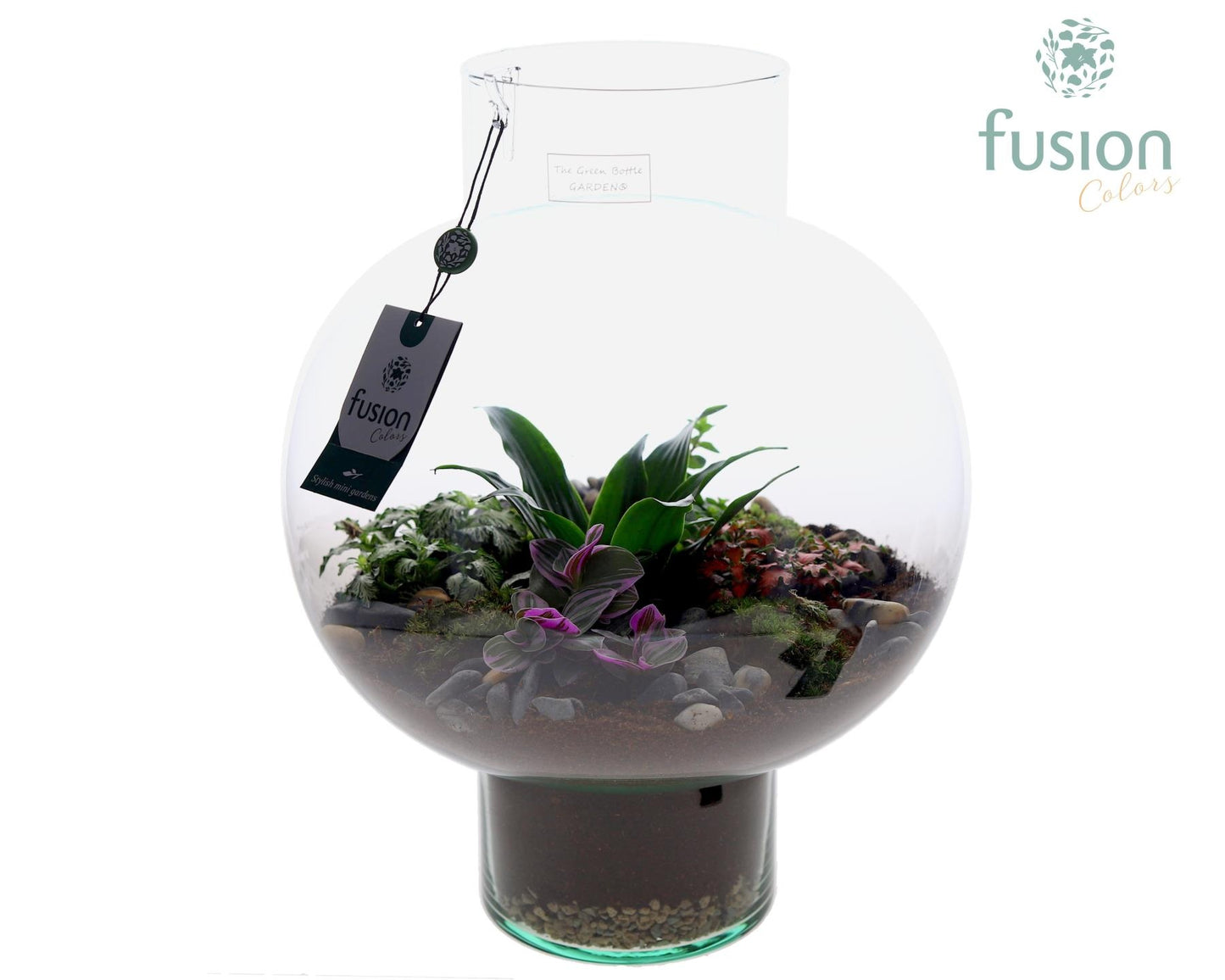 Fusioncolors BV Green Bottle Laura Large met arrangement 5pp Pack of 1