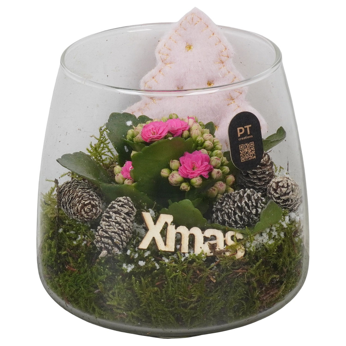 Christmas arrangement 15cm 14cm Pot