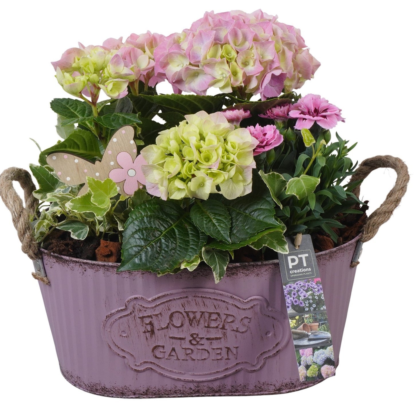 arr. PM196 30cm 28cm Pot
