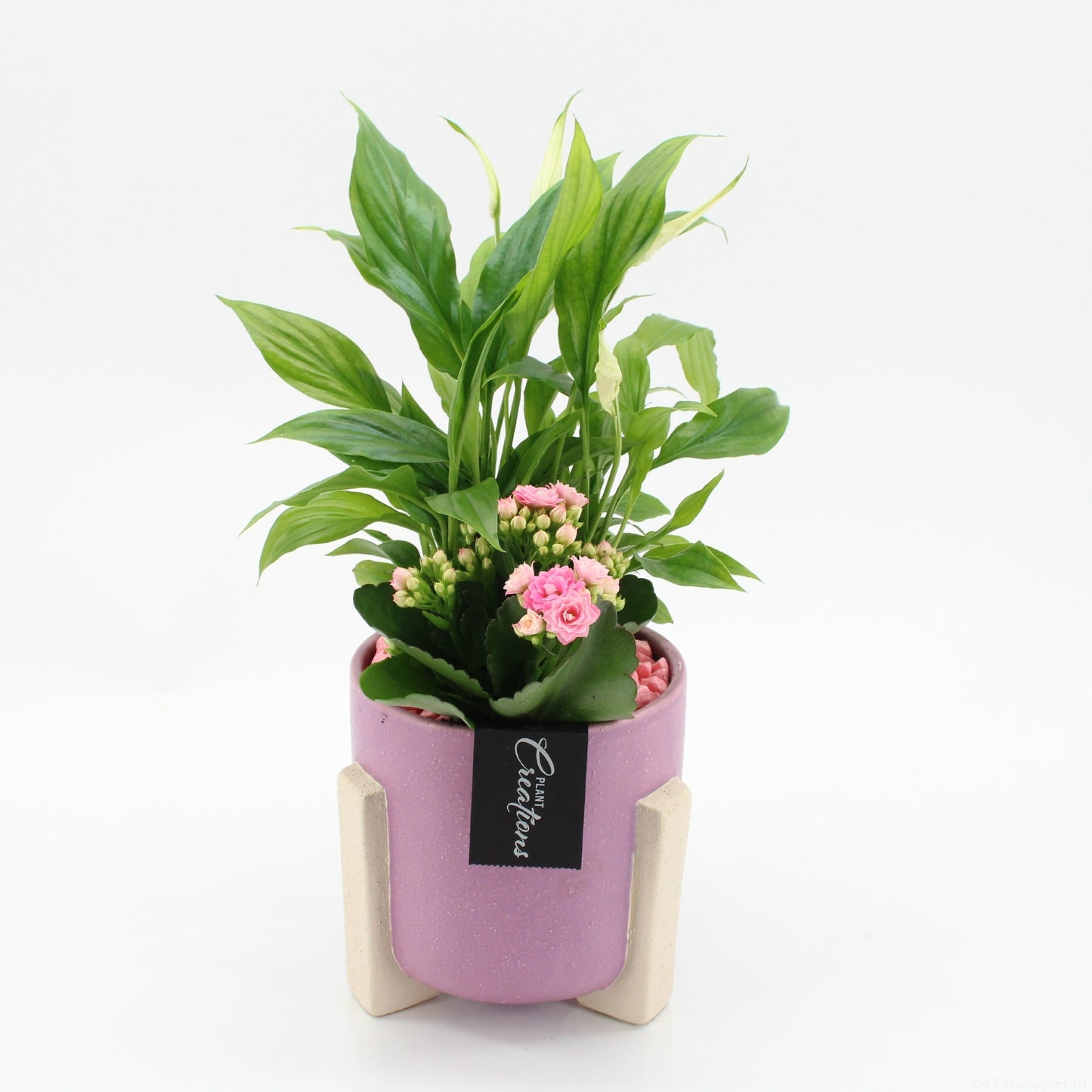 RECR-2616 Rentree 35cm 14cm Pot