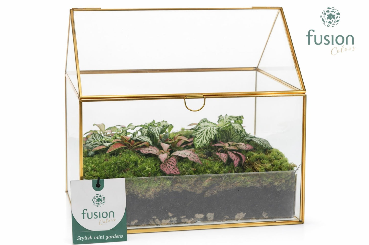 Geometrisch huis met arrangement 20cm 20cm Pot