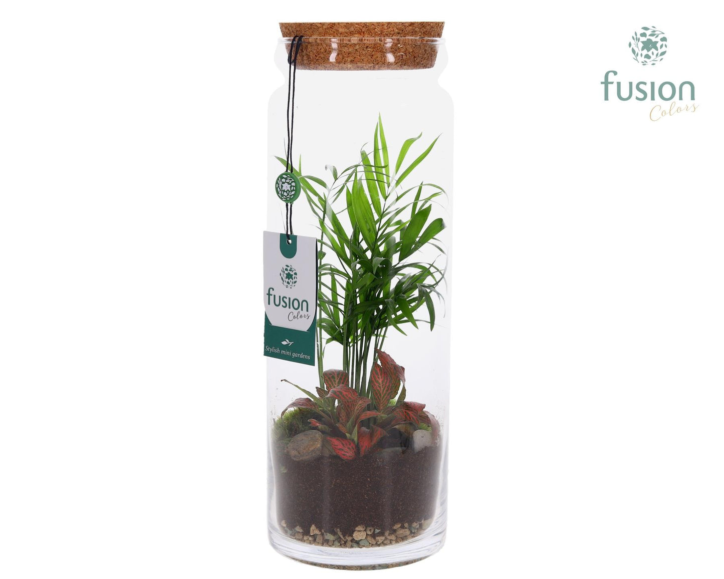 Glazen vaas met Terrarium arrangement 35cm 12cm Pot