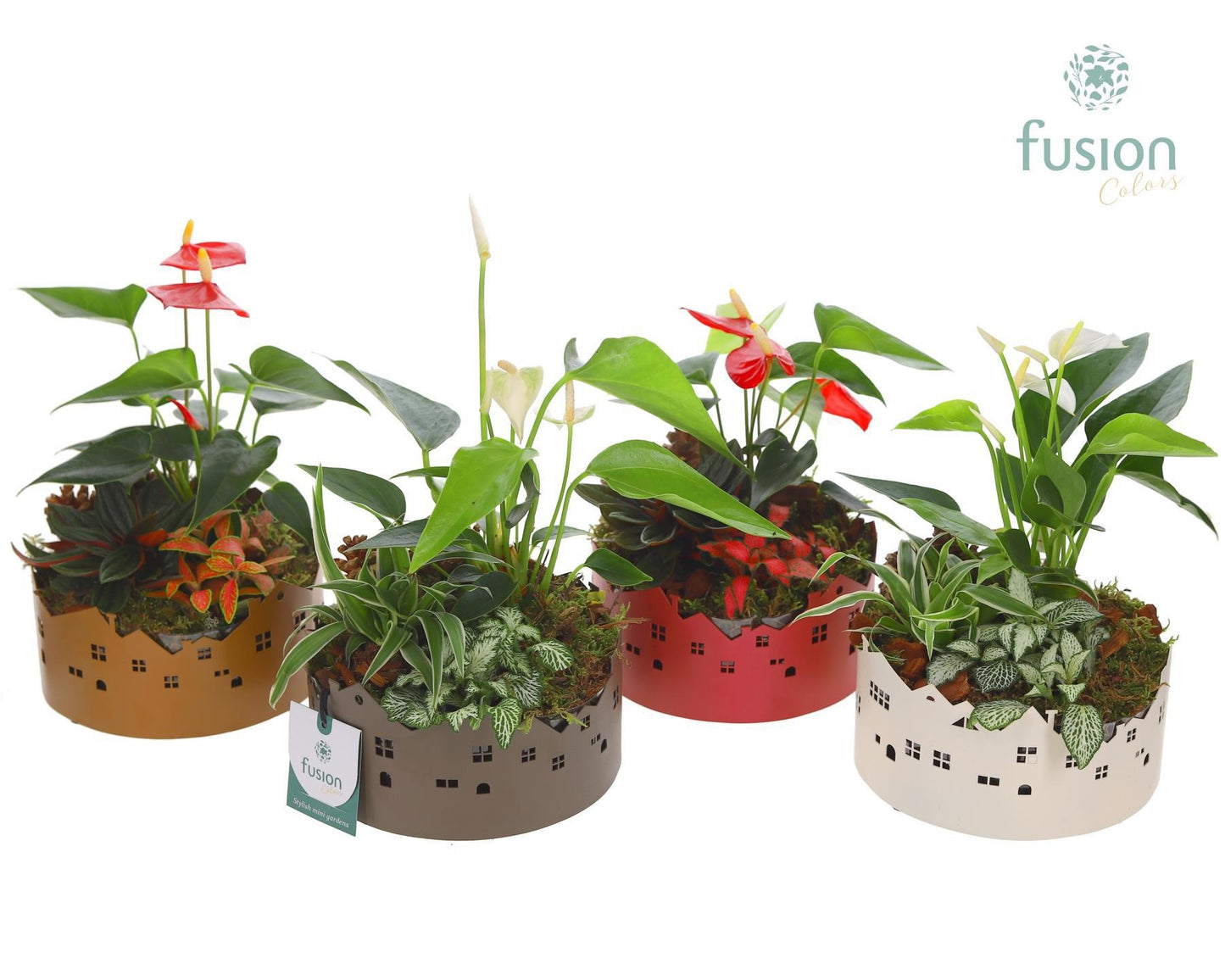 Zinken schaal Huisjes Small met Arrangement 29cm 15cm Pot
