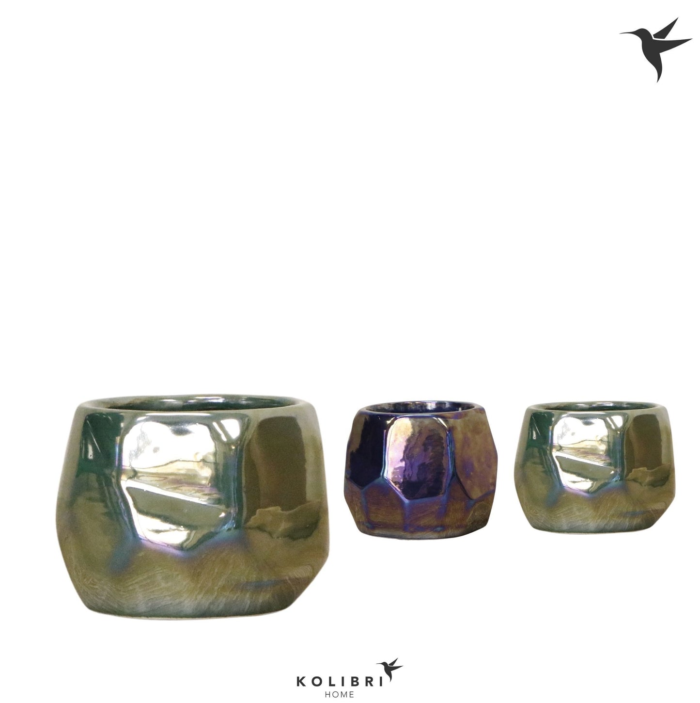 OK Plant Kolibri Home Pearl pot blue green mix Pack of 12