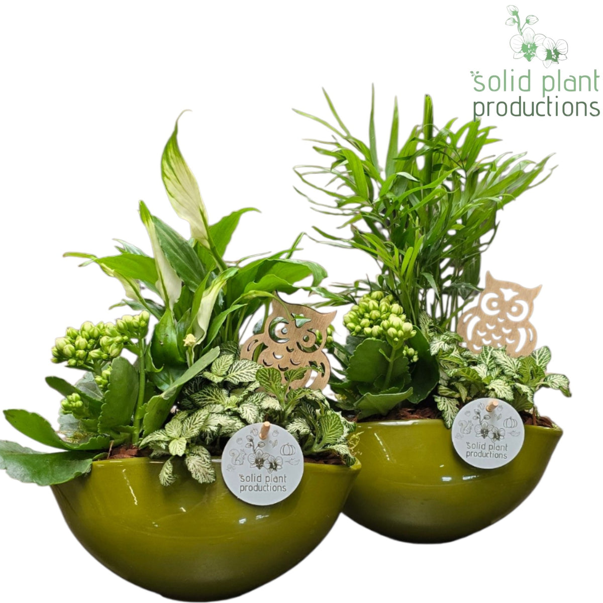 SC005 Evelyn Green White Mix 40cm 22cm Pot