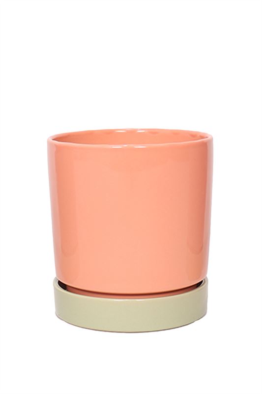 Ceramicpottery 14cm 12cm Pot