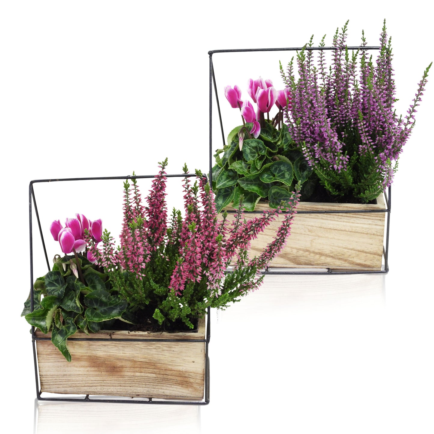 Outdoor arrangement 23cm 18cm Pot