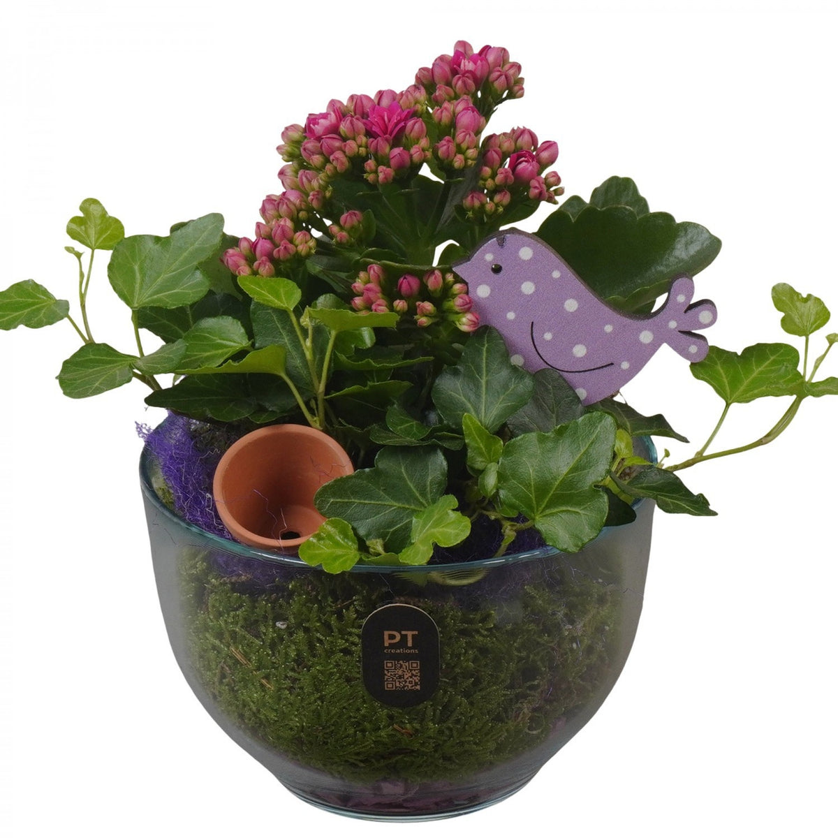 Indoor arrangement 20cm 13cm Pot