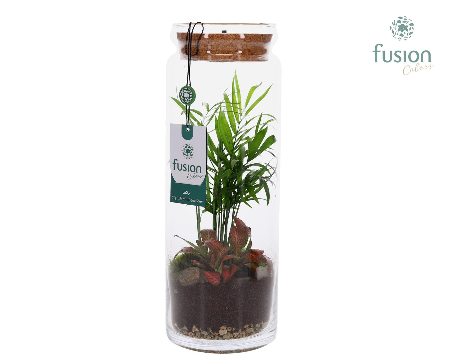 Glas Cilinder vaas met Terrarium arrangement met LED 2pp 35cm 12cm Pot