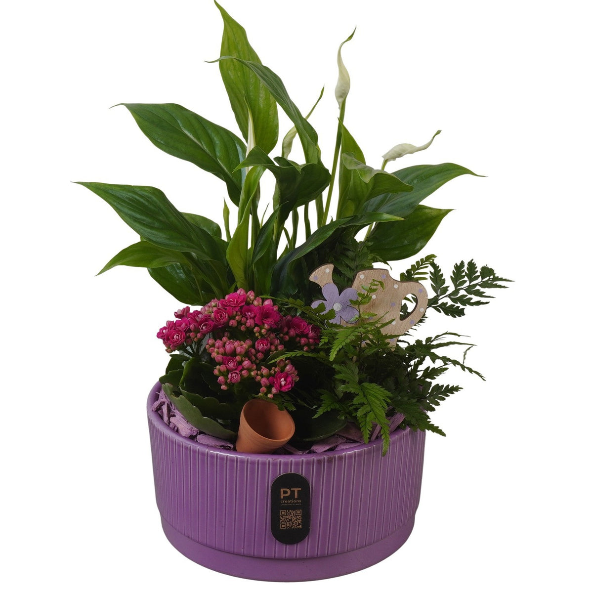 Indoor arrangement 36cm 19cm Pot