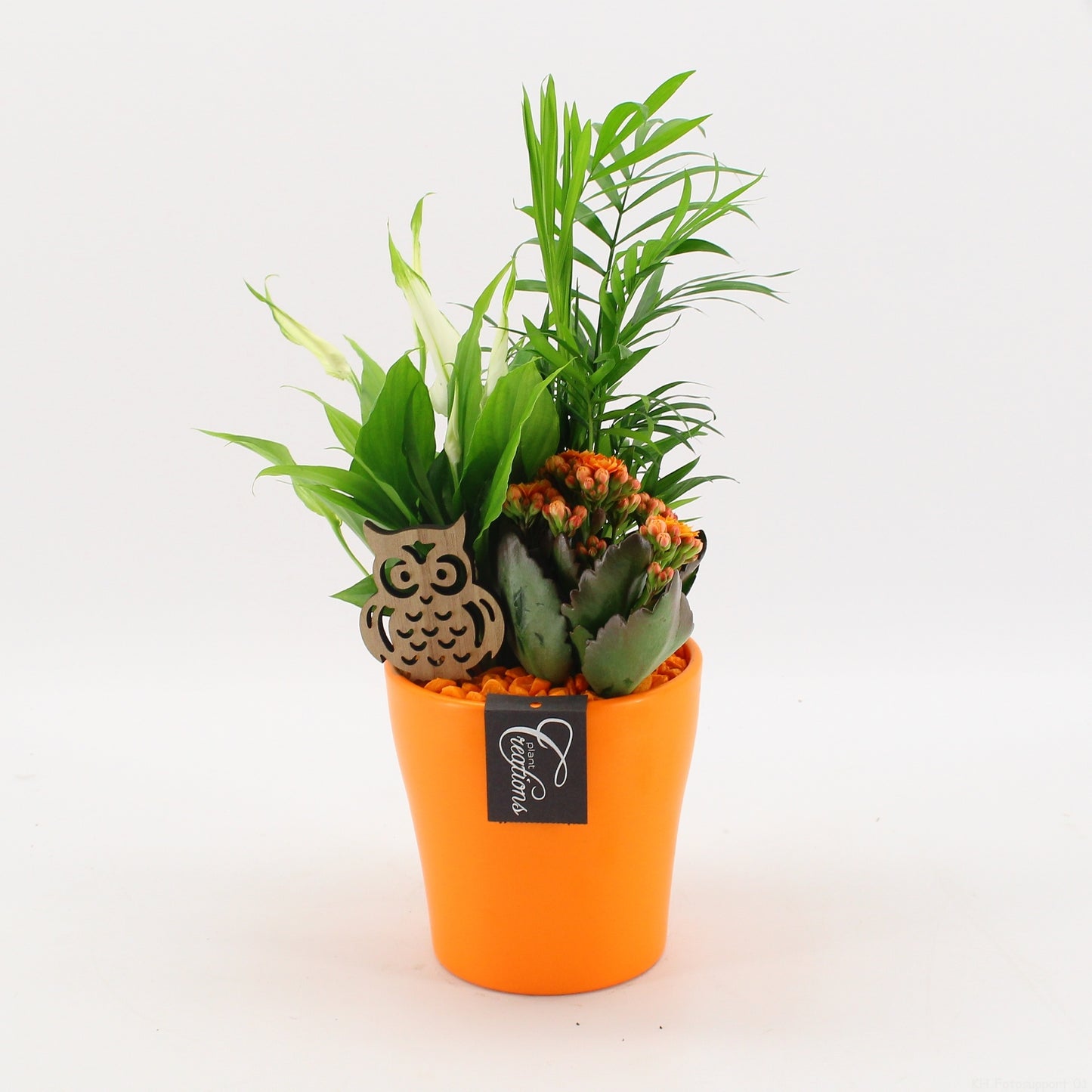 BHCR-2609 Autumn Fundamentals 35cm 14cm Pot