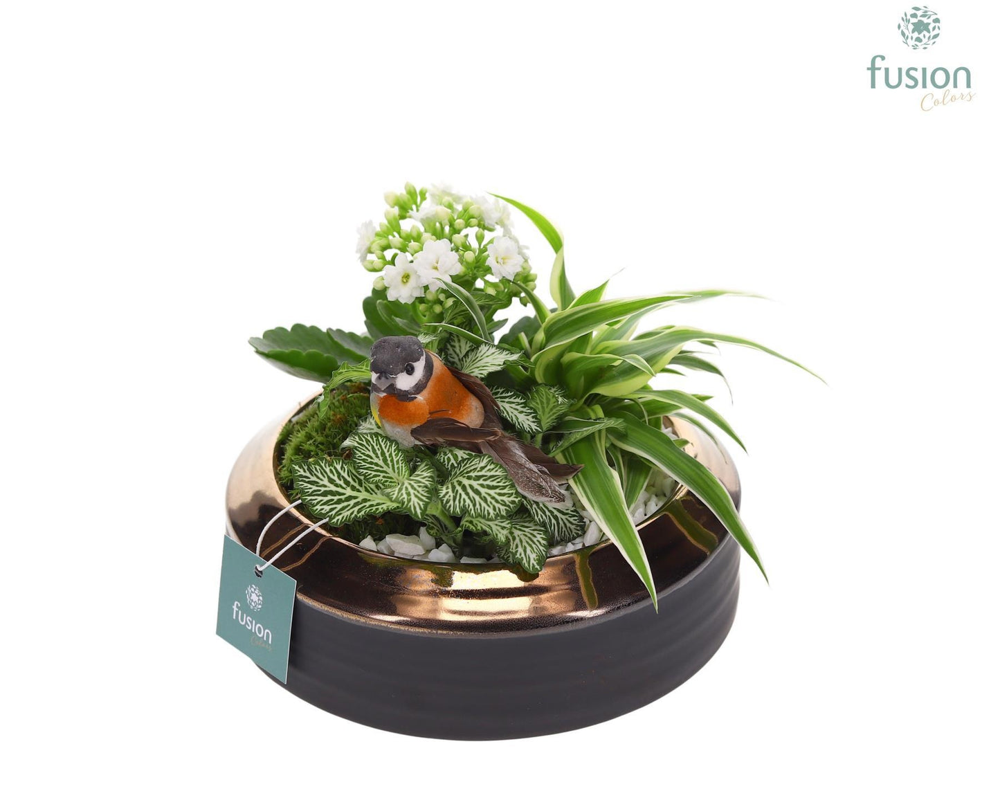Schaal keramiek brons Medium met Arrangement 20cm 19cm Pot