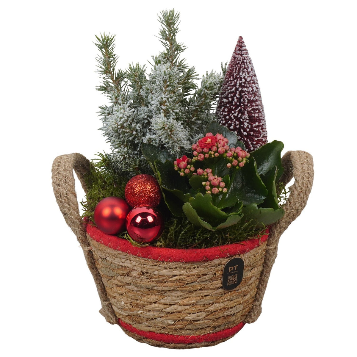 Christmas arrangement 27cm 15cm Pot