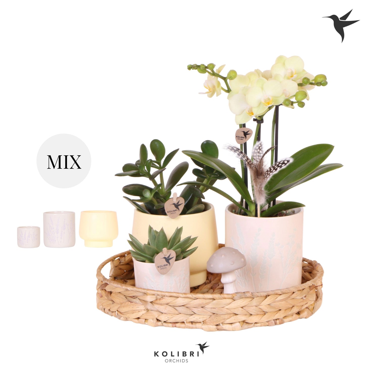 Kolibri Gift Set large Easter 40cm 30cm Pot