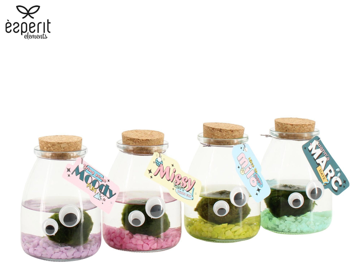 arr. Water plant Terrace pond wood 13cm 9cm Pot
