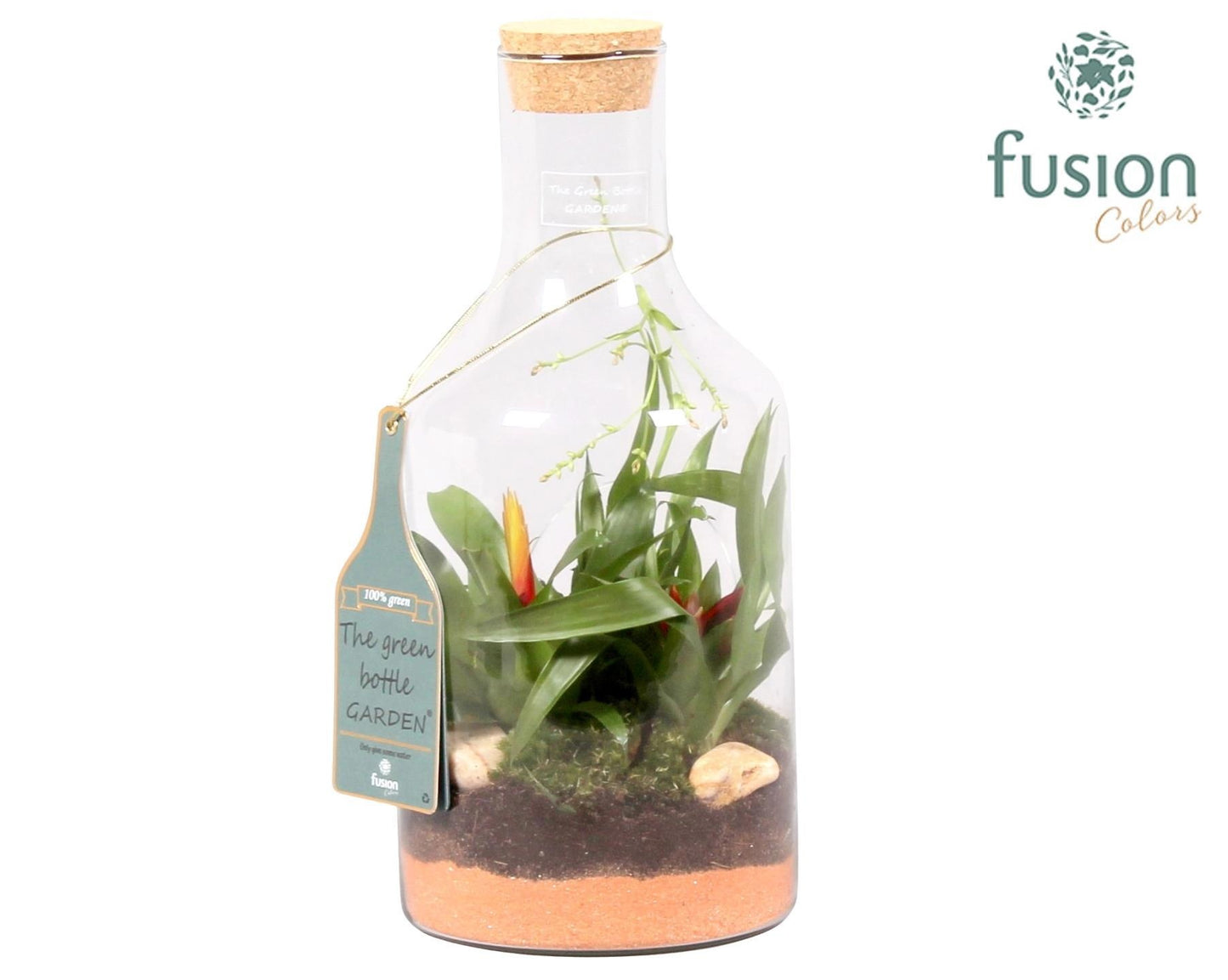 Green Bottle Fles Small met Bromelia 35cm 15cm Pot