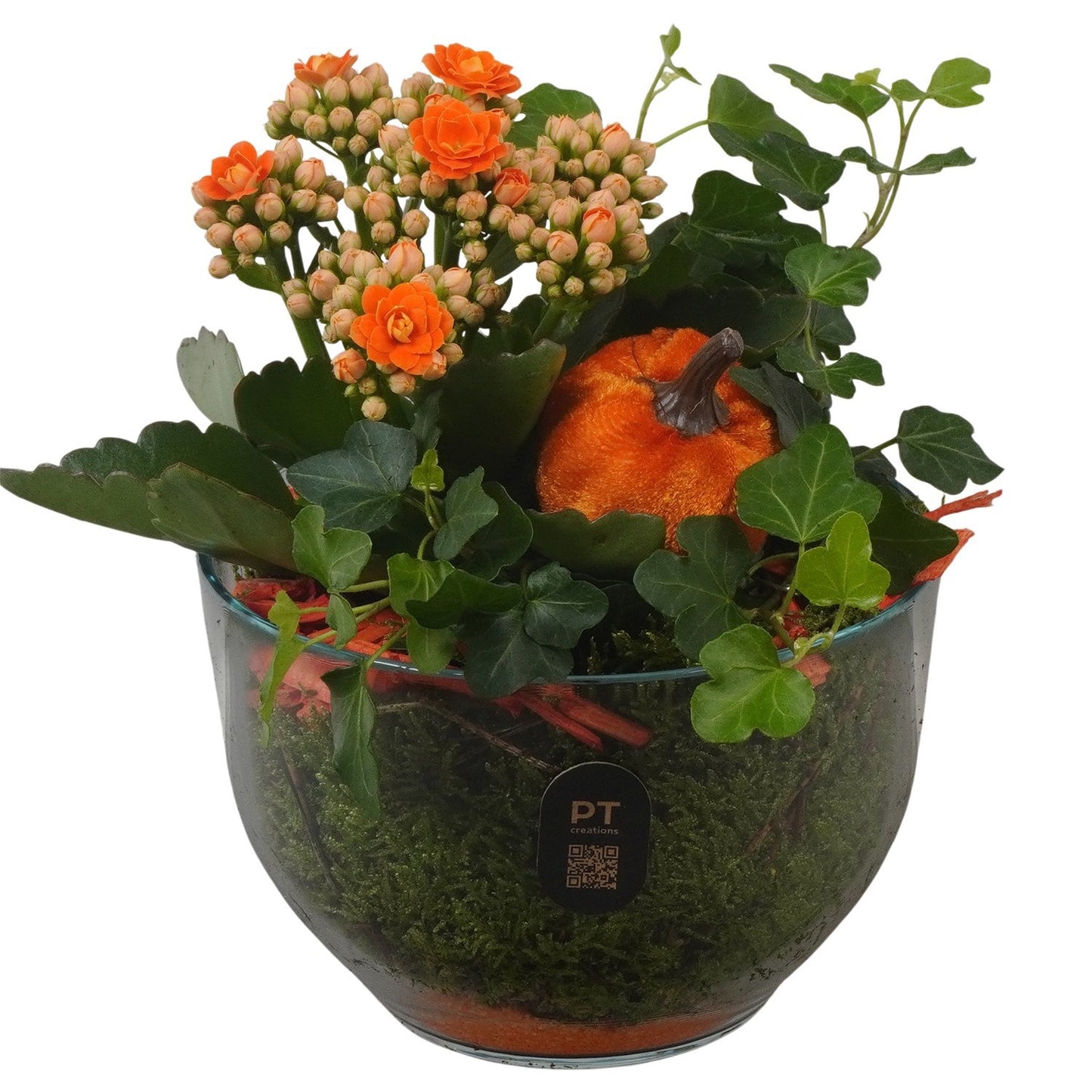 Indoor arrangement 18cm 13cm Pot