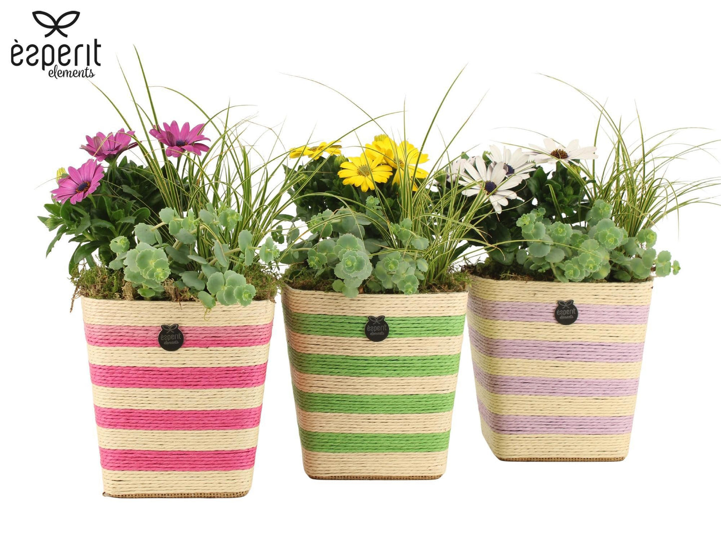 Outdoor arrangement 30cm 14cm Pot