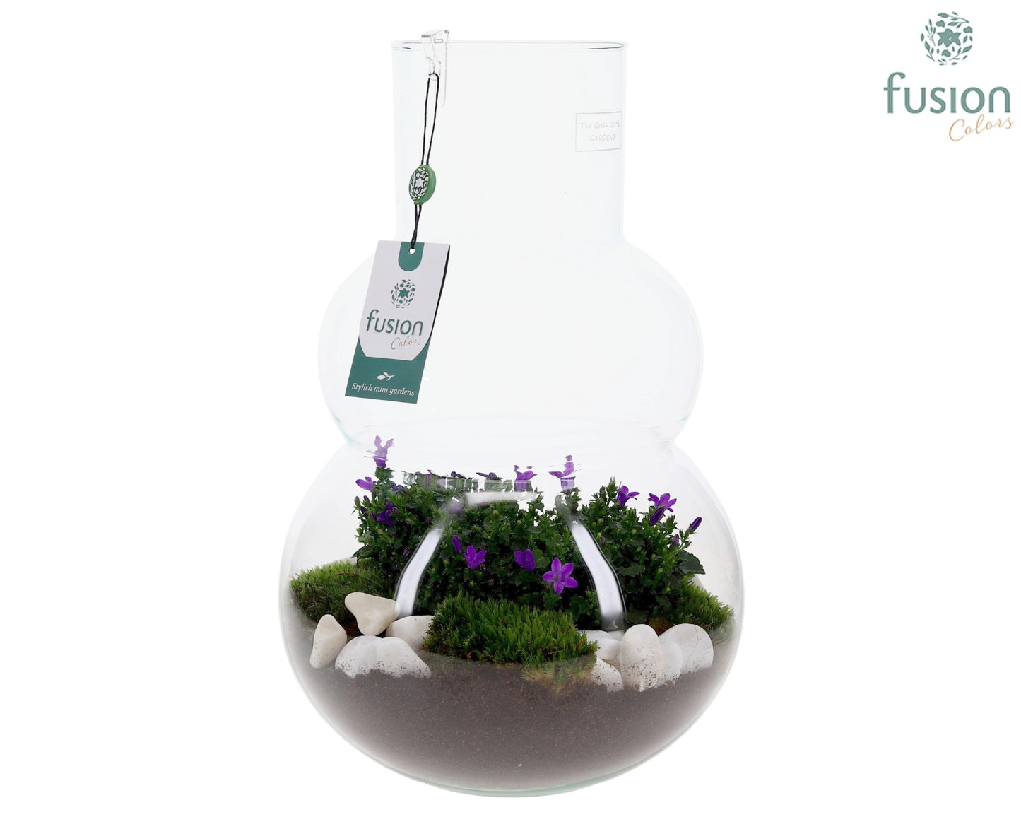 Green Bottle Olaf Large met Campanula 24uur levertijd 43cm 26cm Pot