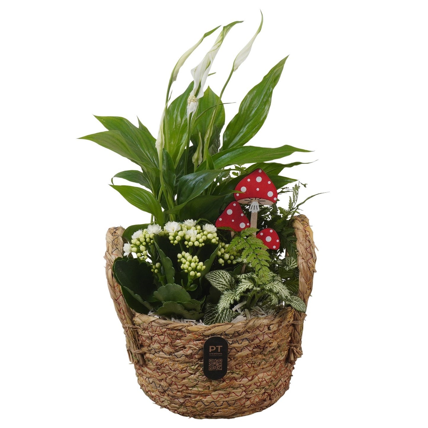 Indoor arrangement 33cm 19cm Pot