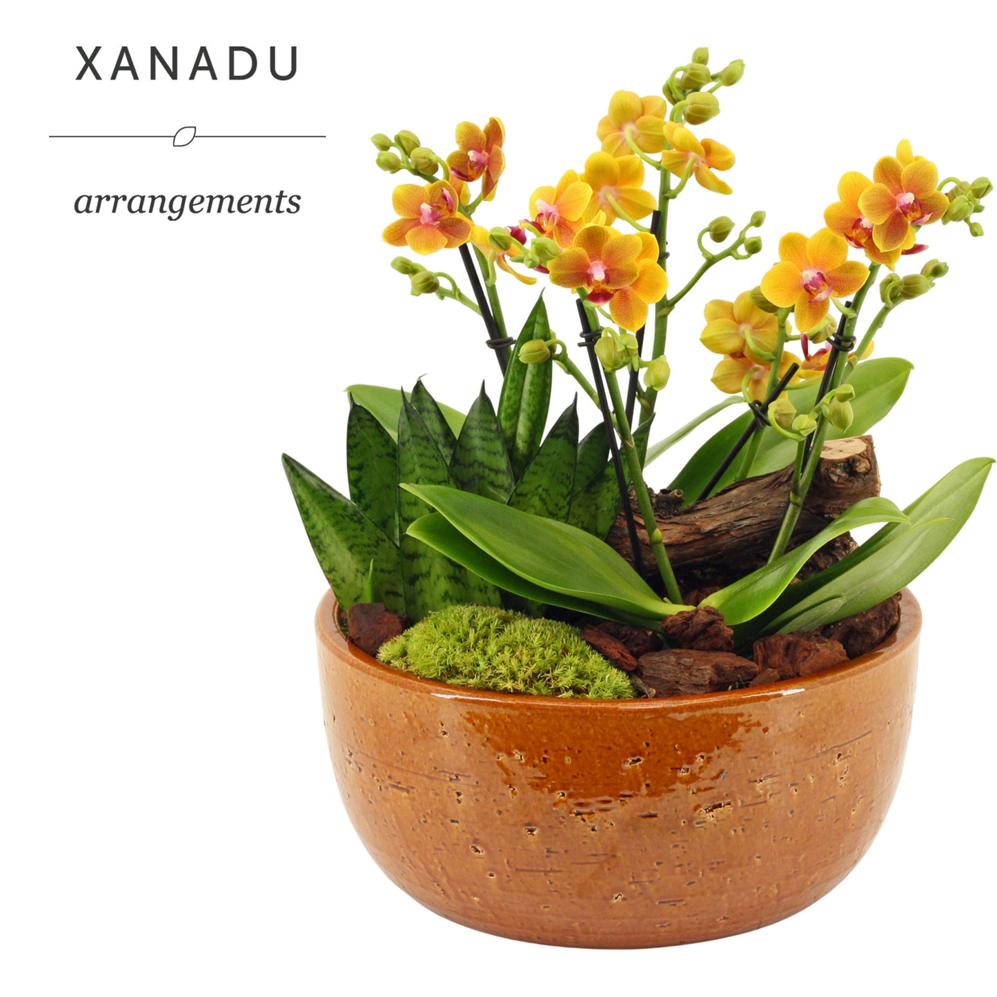 Xanadu Lissabon 28cm Pot