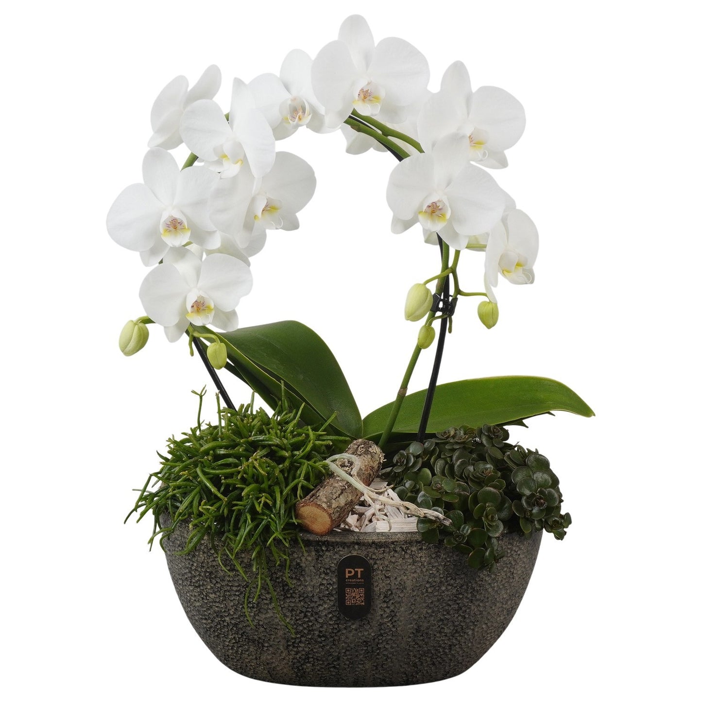 Indoor arrangement 50cm 28cm Pot