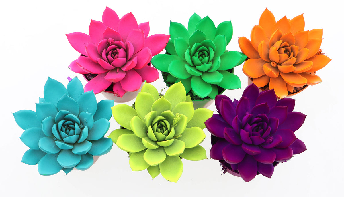 Rainbow neon mix 10cm 8.5cm Pot