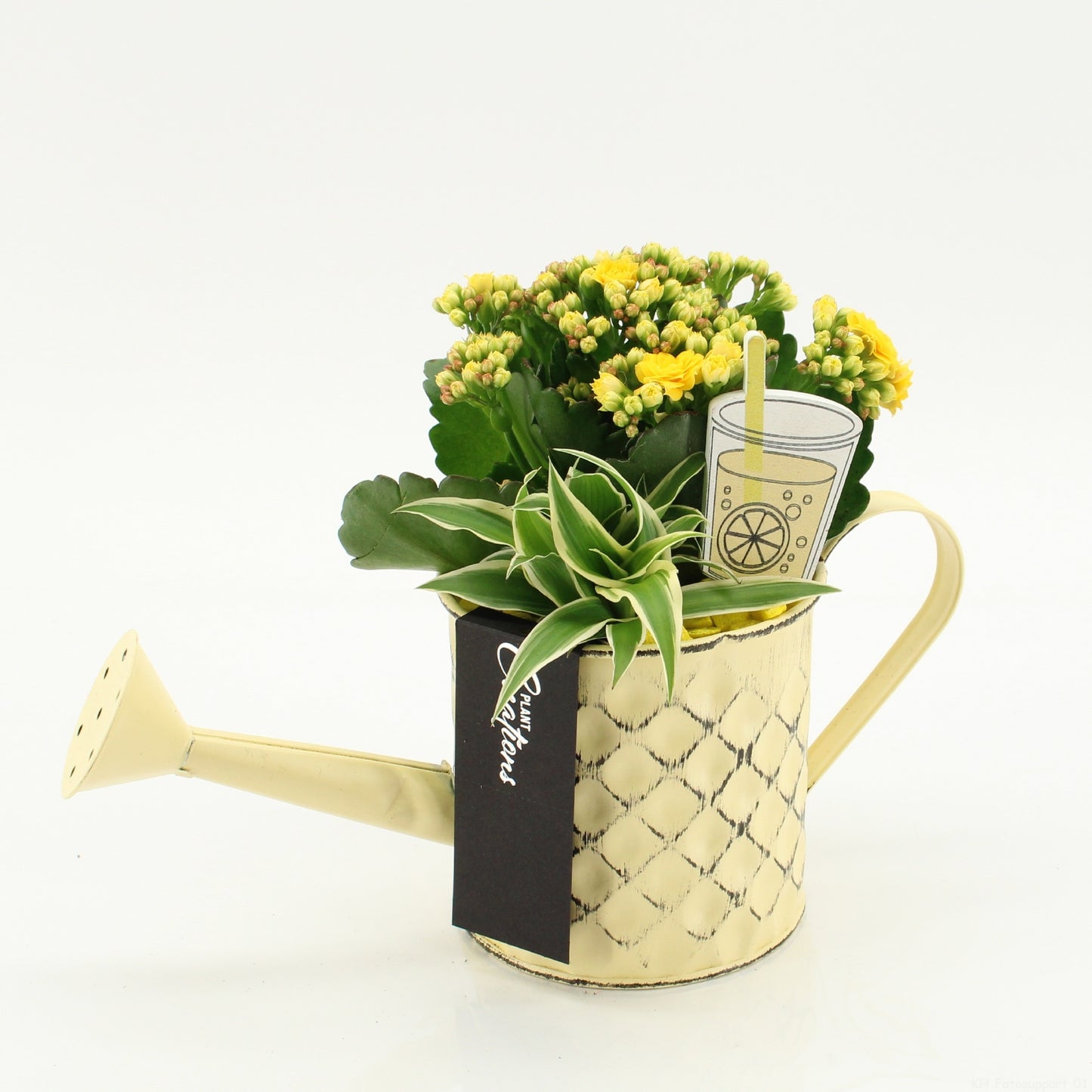 SECR-2629 Summer Essentials Colors 20cm 11cm Pot