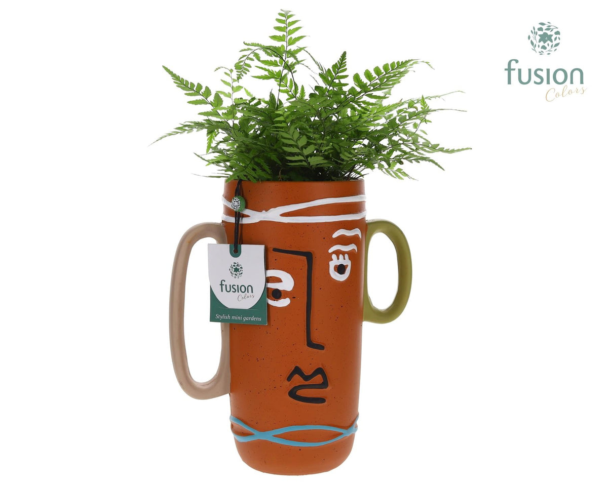 Terracotta Facepot met Athyrium 35cm 10cm Pot