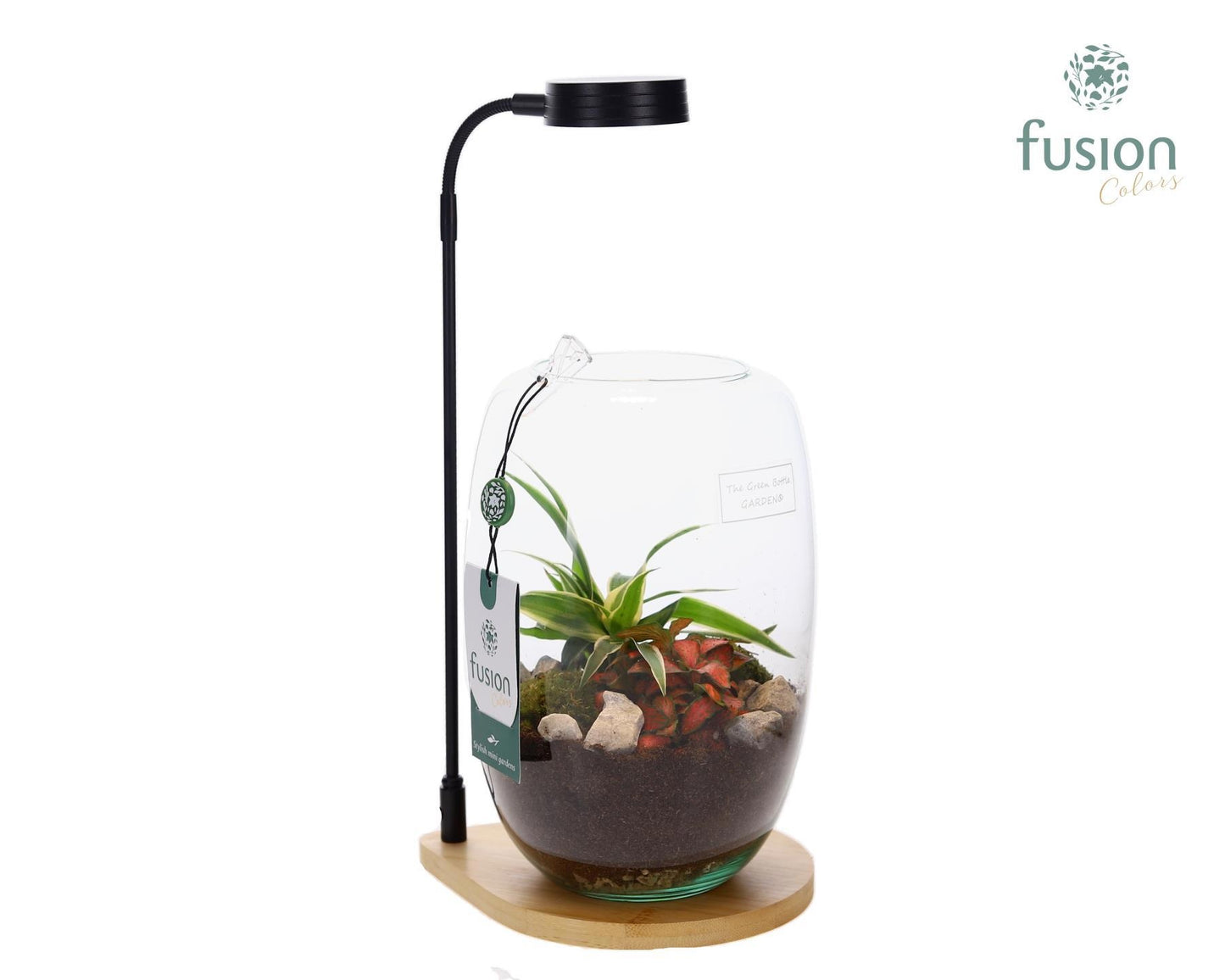 Bamboe plateau met LED licht lamp en vaas en Groen planten 35cm 15cm Pot