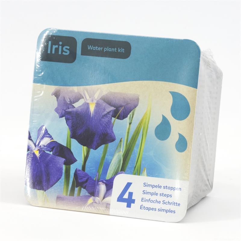 Waterplkw R. Moerings Iris laevigata Pack of 7